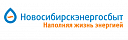 Автоматизация управленческого учета и внедрение бюджетирования в АО «Новосибирскэнергосбыт»
